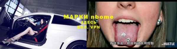 прущие грибы Алзамай
