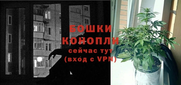 индика Остров