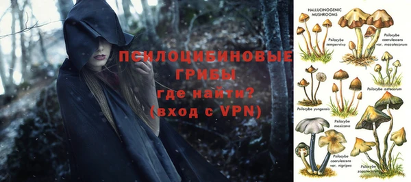 прущие грибы Алзамай