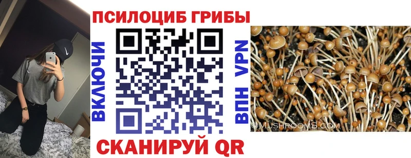 Галлюциногенные грибы Cubensis Пролетарск