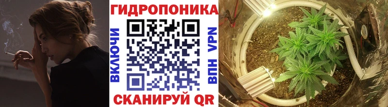 ОМГ ОМГ как войти  shop Telegram  Бошки Шишки марихуана  Пролетарск 